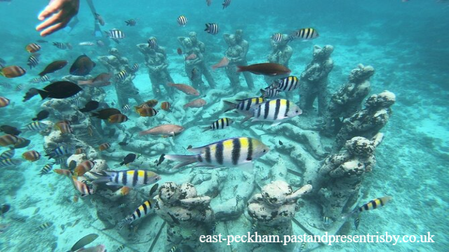 Destinasi Wisata di Indonesia yang Viral di TikTok, Mana Kesukaanmu