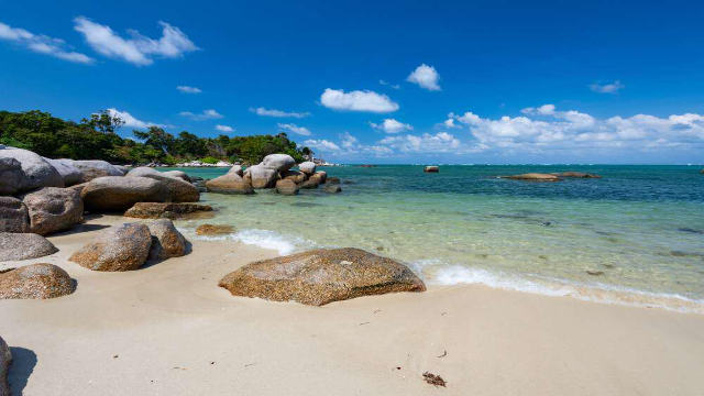 Menyibak Keindahan Alam Pantai Trikora nan Menawan